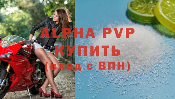 ешки Белокуриха