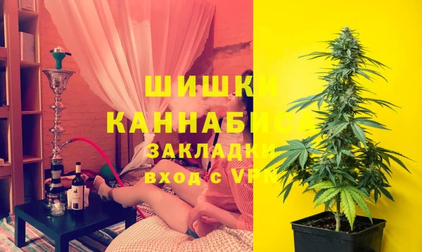 ешки Белокуриха