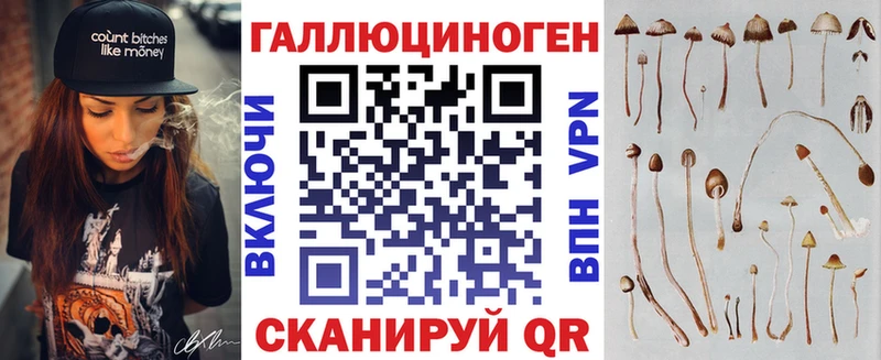 наркота  Купино  Псилоцибиновые грибы прущие грибы 